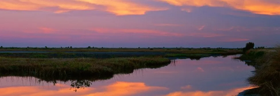 Merritt Island at sunset